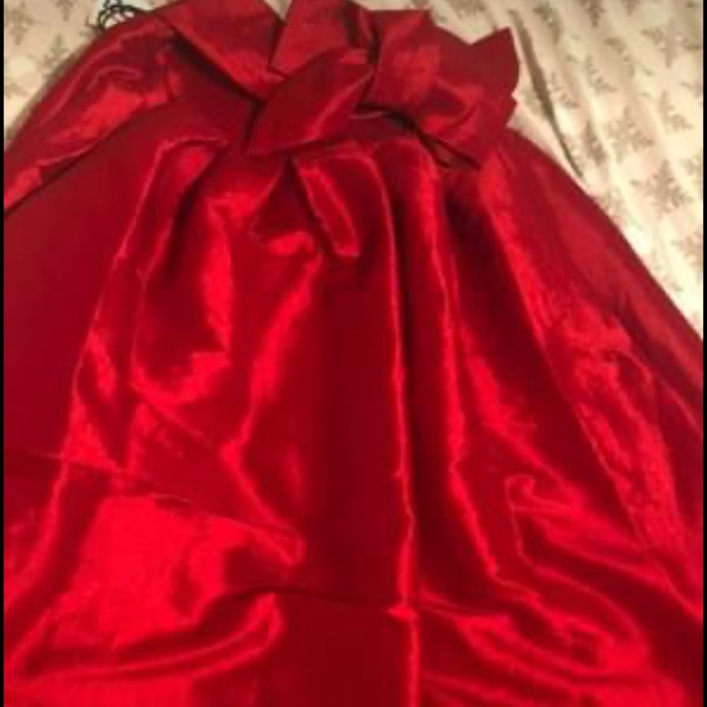 Elegant Women’s Red Christmas Holiday Satin skirt